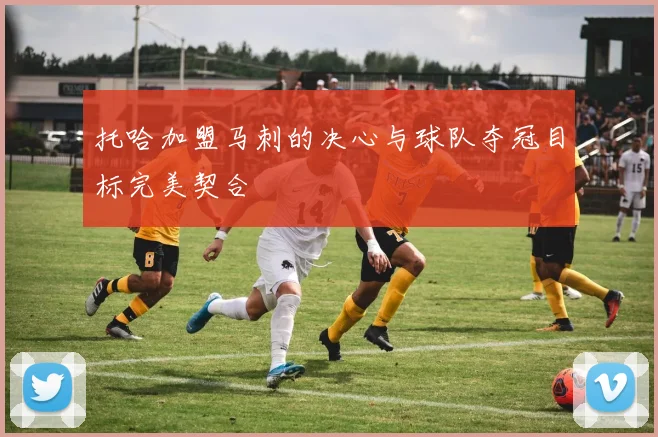 托哈加盟马刺的决心与球队夺冠目标完美契合