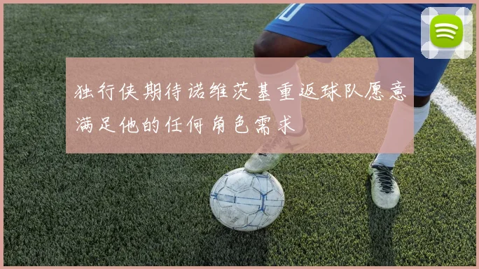 独行侠期待诺维茨基重返球队愿意满足他的任何角色需求