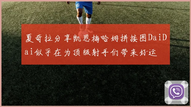夏奇拉分享凯恩梅哈姆拼接图DaiDai似乎在为顶级射手们带来好运